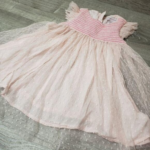 Jillians Closet Infant Pink Swiss Dot Tulle Party Dress 18M birthday princess - Picture 6 of 10